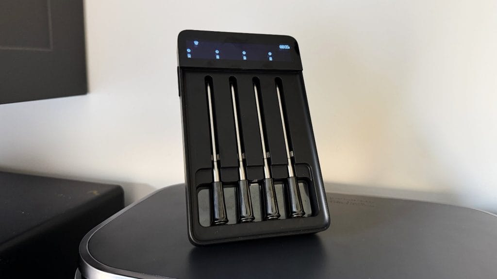 GoveeLife Meat Thermometer 2